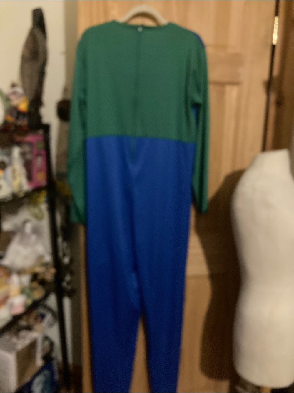 Super Mario Bros adult Luigi cosplay/costume - Picture 6 of 9
